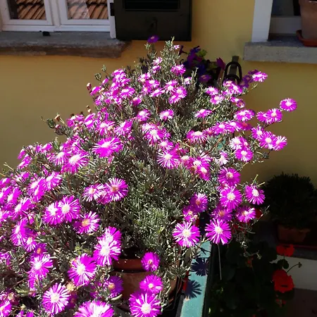 Casa Azzurra * Менаджо